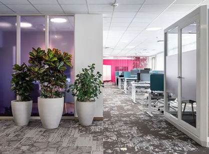 关注员工感受的办公装修设计空间是怎样的——Bayer拜耳